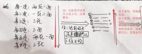 六爻预测的公共学问，你如今必需要记住12地支