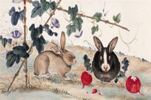 在兔年,属兔人自身的运势并不是很好,时常会发生病痛或者意外,不论是