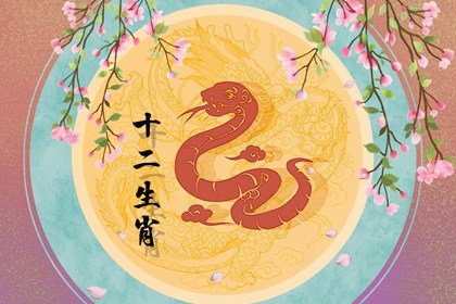 属蛇的出生年份表的年份_属牛的出生年份_属猪的出生年份表