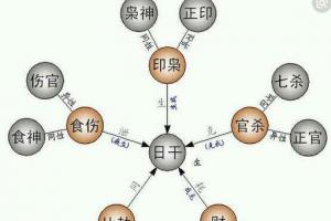 什么是四柱八字算命学中的十神?