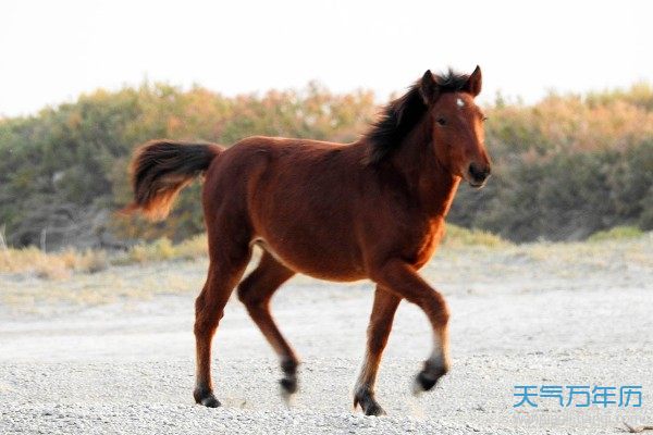 韩国男人分手很绝情吗_男人绝情是因为不爱吗_属马男人绝情