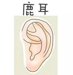 耳朵面相算命图解大全_耳朵大 面相_耳朵反骨的男孩面相