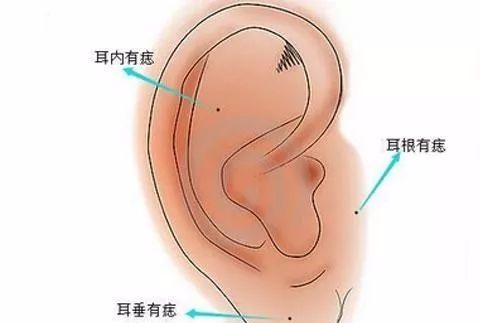 耳朵招风耳面相特征_男人面相之耳朵图解_耳朵大 面相