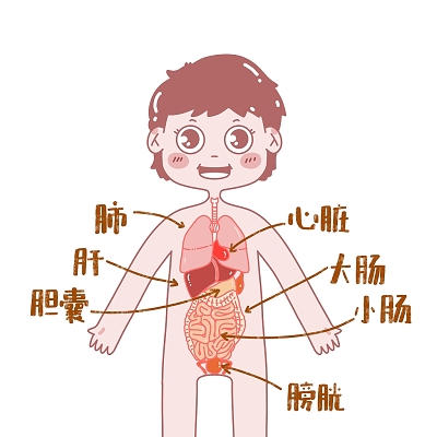 紫薇在迁移宫_迁移宫紫薇贪狼_紫薇贪狼 迁移宫