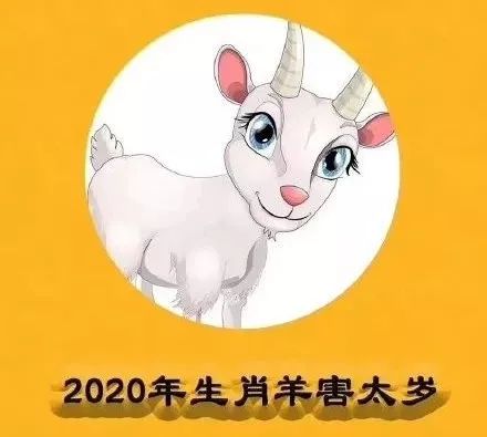 羊年属鼠运程_1984年鼠2021年运程_72年鼠人2019年每月运程