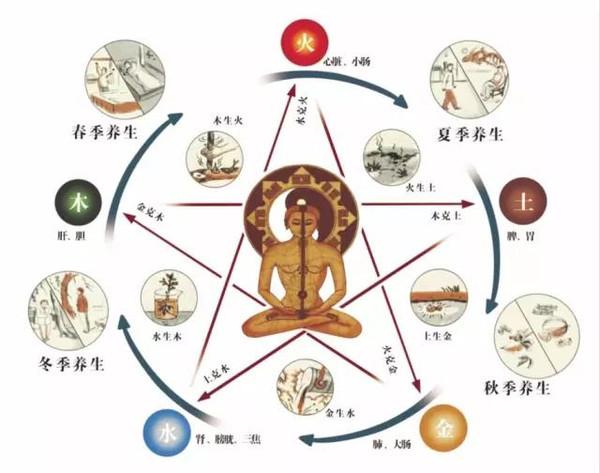 阴阳五行 古代中医中医产生于原始社会，出现了解剖和医学分科