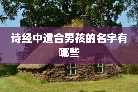 男孩要怎么从诗经中取名？为你分享诗经取的男孩名字