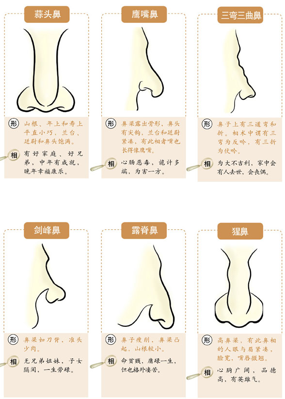 额头形状面相图解大全_鼻子形状面相图解_男人的鼻子面相图解