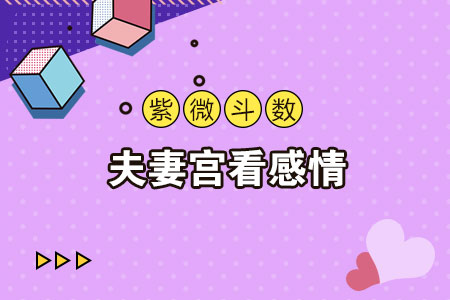 紫微命盘看配偶长相_紫微看配偶年龄差_夫妻宫紫微斗数看配偶