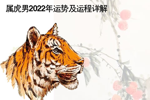 属猪人2020年运势运程每月运程_属牛人2018年运势运程每月运程_2020属虎运势及运程每月运程