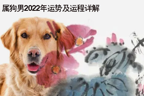 属猪2020年运势及运程每月运程_属蛇人2020年每月运势及运程_2020属虎运势及运程每月运程