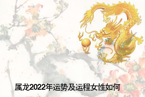 2023年属龙人的运势_2023年生肖运势_79年属龙羊人2019年运势