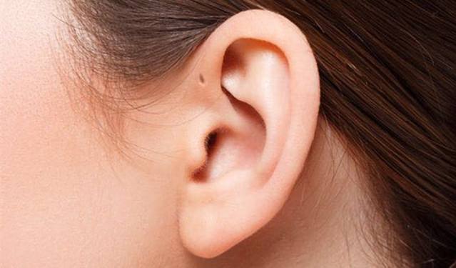 耳朵仓眼位置相学_耳朵上有附耳相学说法_耳朵相学图解
