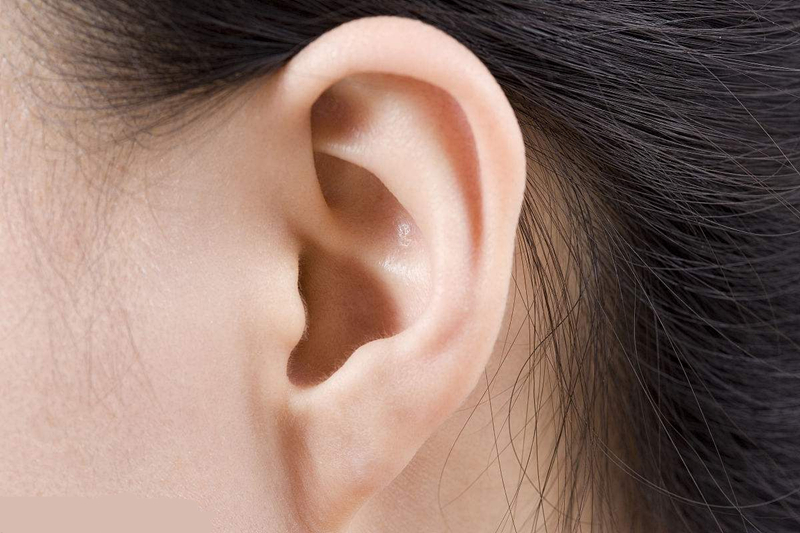 耳朵上有附耳相学说法_耳朵仓眼位置相学_耳朵相学图解