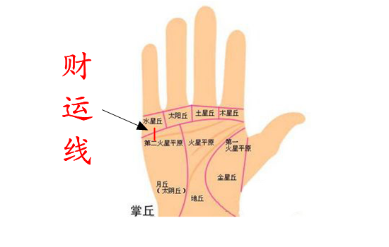 手相算命图解财运线_手相算命财运_看财运手相算命图解