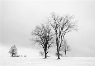 周公解梦大全查询梦见雪地