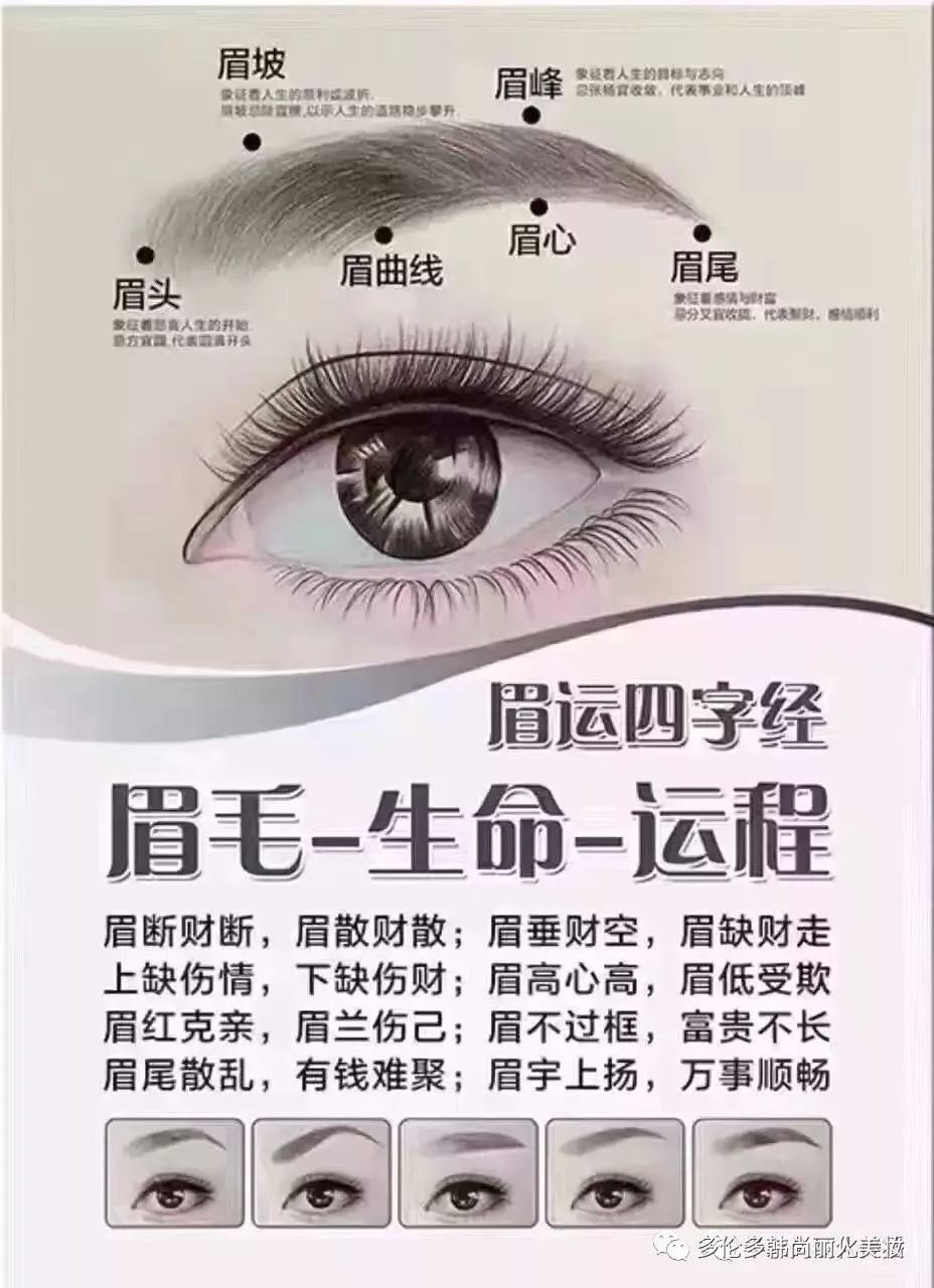 看女人面相算命图解有钱人_如何看鼻子面相算命图解_面相算命图解面相十二宫位置