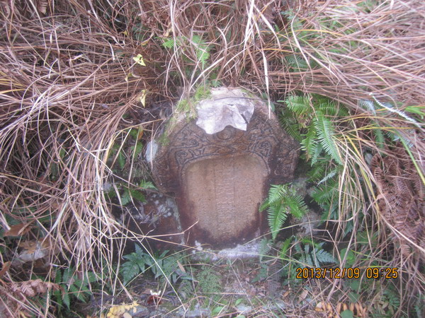 玄空风水布局_办公室风水植物大全,办公室风水植物布局知识_三合风水 玄空风水