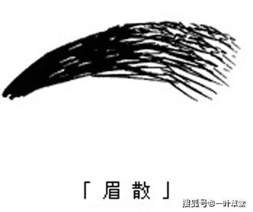 眉尾眉毛稀少面相_眉毛眉尾稀少面相学_面相男左眉长了一根长眉毛