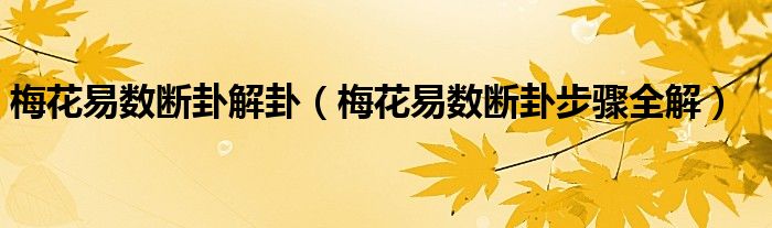 第一种梅花易数起卦方法问题难解决的时候