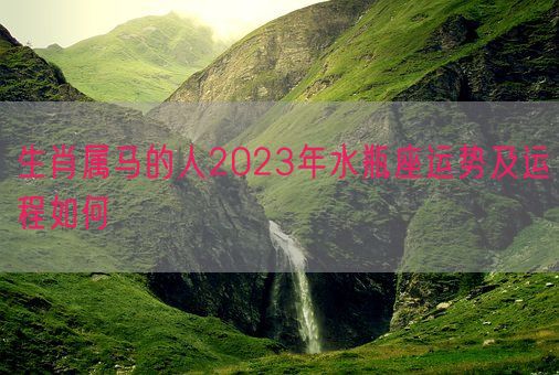 属马,2024年属马水瓶座的运势和运程是怎么样