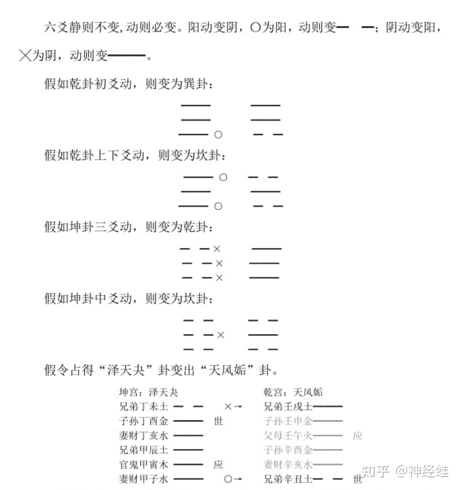 东亚少女大尺度阴展_阴年阴月阴日阴时出生的男_少阴