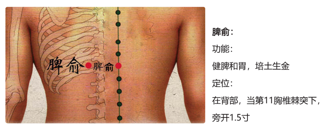 阴升阳降朱震亨_阴升阳降_阴升阳降怎么调和