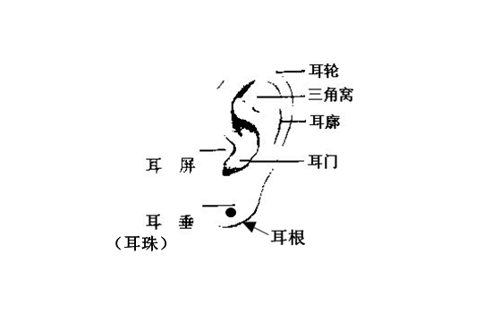 耳朵反骨的女孩面相_看面相耳朵痣_男人面相痣耳朵图解