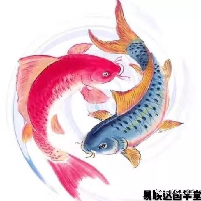 梅花生物股票预测_皇极梅花断婚姻_梅花易数预测婚姻案例