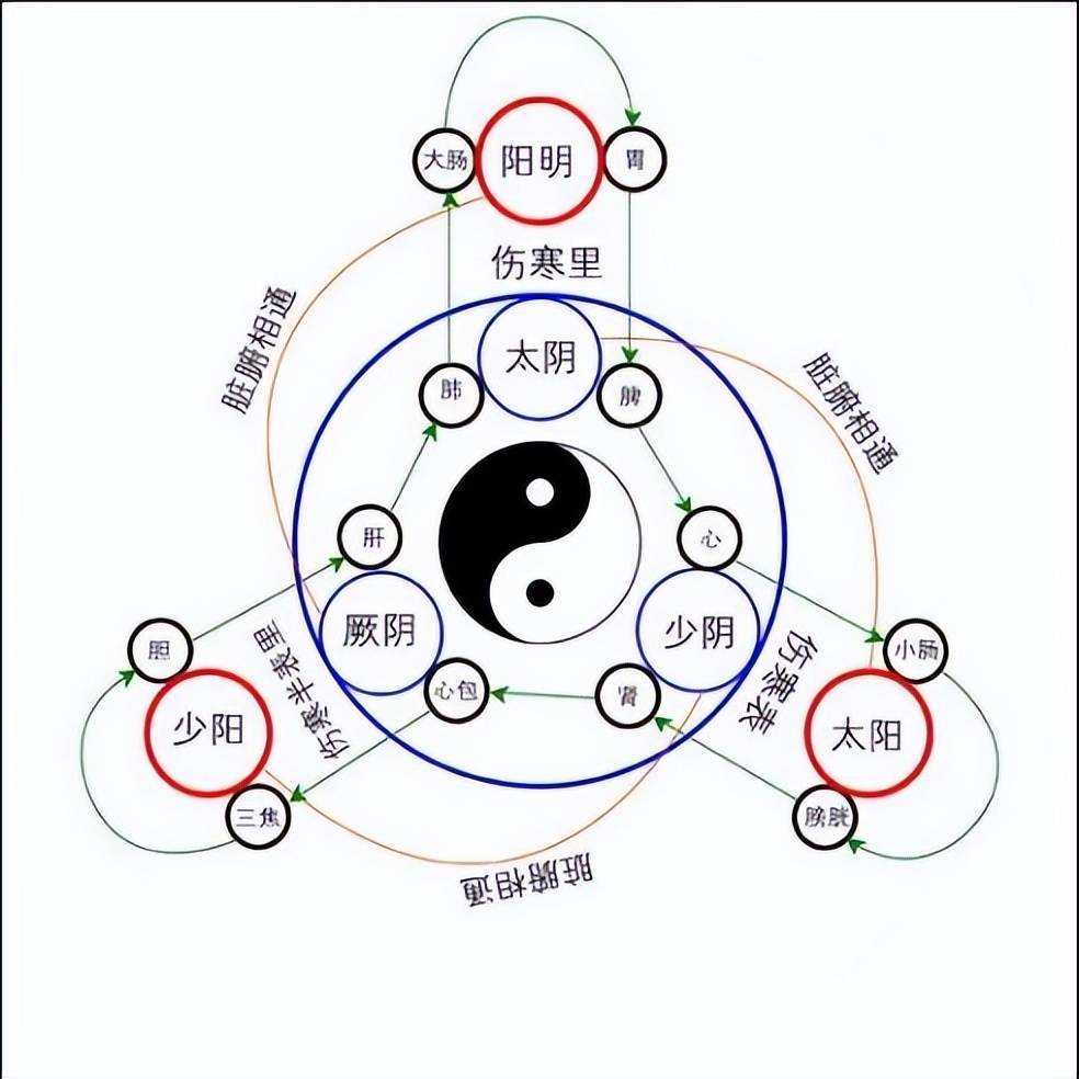 阴阳消长_阴阳一调百病消大全集_阴阳一调百病消