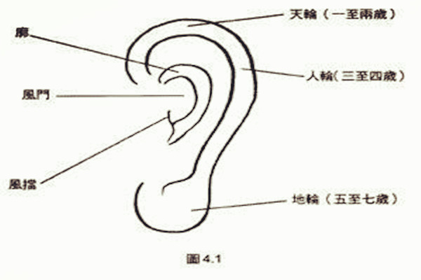 耳朵相学图解_耳朵相学图解_耳朵有仓眼相学解释