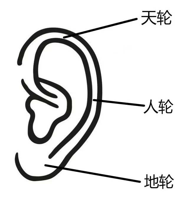 耳朵上有附耳相学说法_耳朵相学图解_相学大全图解