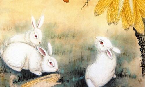 属鼠和属兔的配吗_红米3顶配安兔兔跑分_红米3高配跑分安兔兔