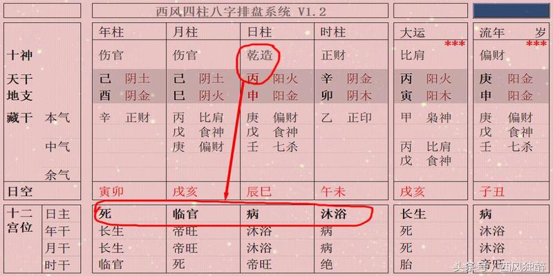 金水伤官格八字案例_金水伤官生财八字命理_金水伤官生财格