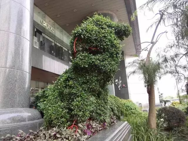 风水阵法布局_升阳风水阵法_风水四象阵法