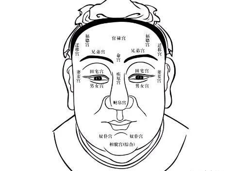 鼻梁短鼻头大的男人面相_塌鼻梁鼻头大的面相_塌鼻子大鼻头男人面相