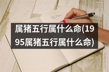 属猪的和什么属相和_属相猪属相狗_属相猪属相虎