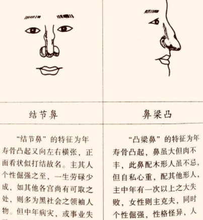 男人鼻子看命运_鼻子看面相算命图解男_鼻子看面相男人