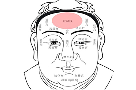 相学案例_相学案例_相学案例