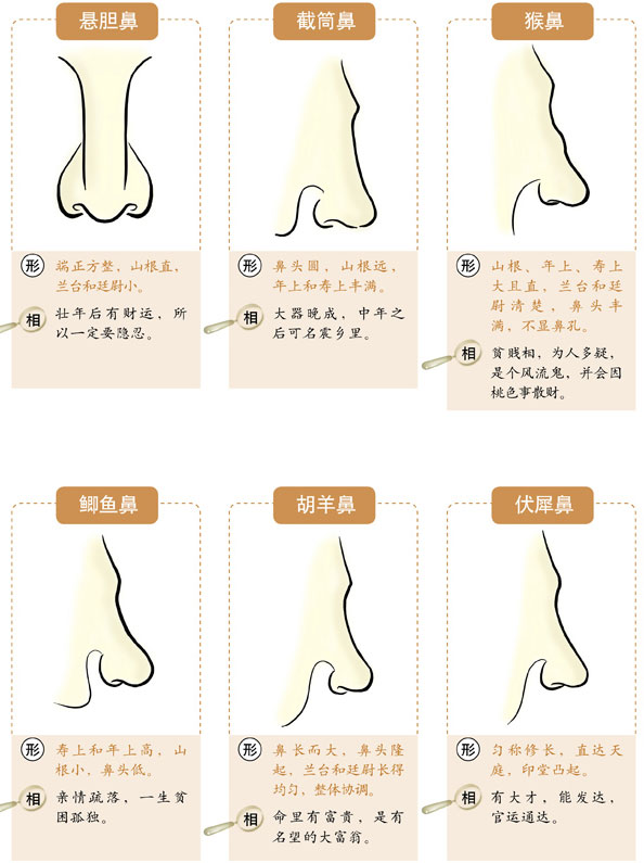 面相歪鼻子男人面相好吗_面相鼻子歪的男人_男人鼻子歪了什么面相