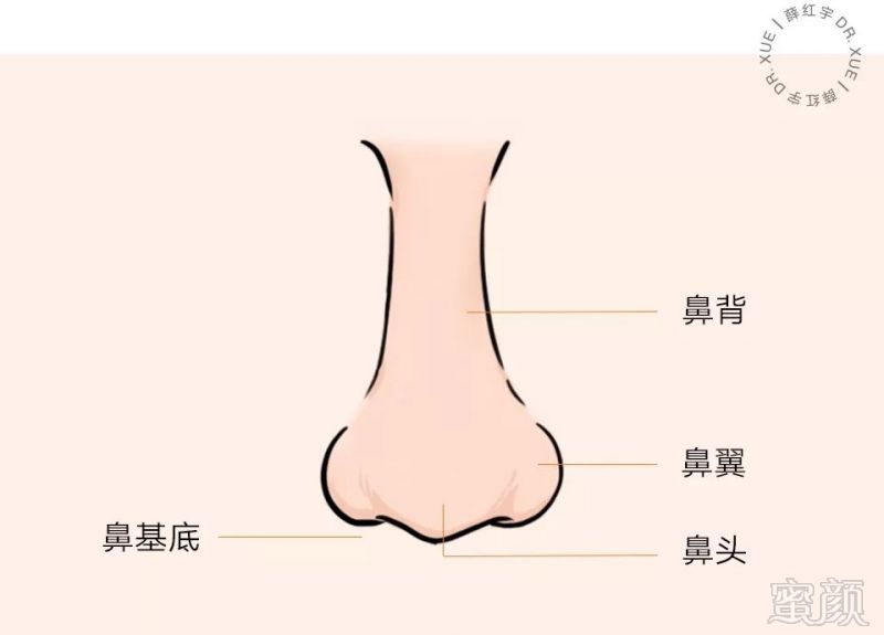 鼻子下端高于耳朵下端面相_耳朵在鼻子下面面相_面相鼻子耳朵下面长痣