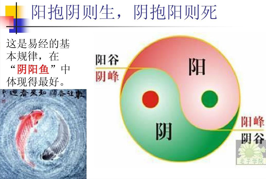 易经密码1古玉尸衣_易经密码_刘君祖完全破解易经密码