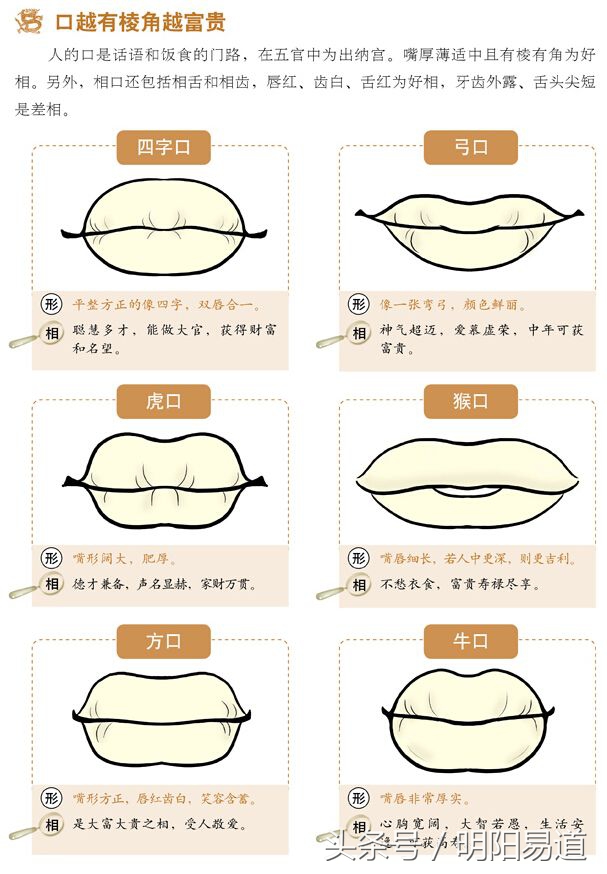 面相案例分析_面相案例图解_面相案例