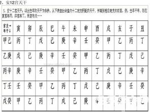 紫微斗数工具 紫微斗数实验室排盘工具