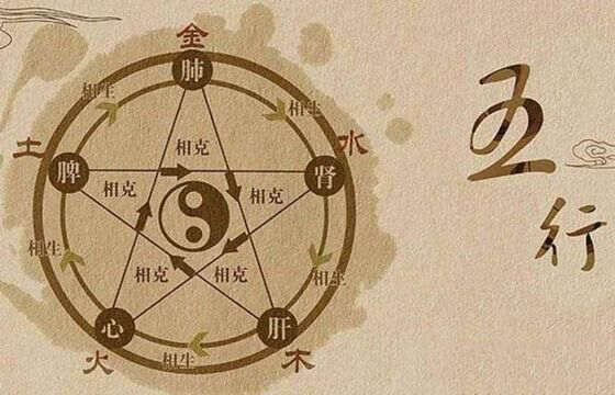 91年出生的人五行属什么缺什么？有什么影响？