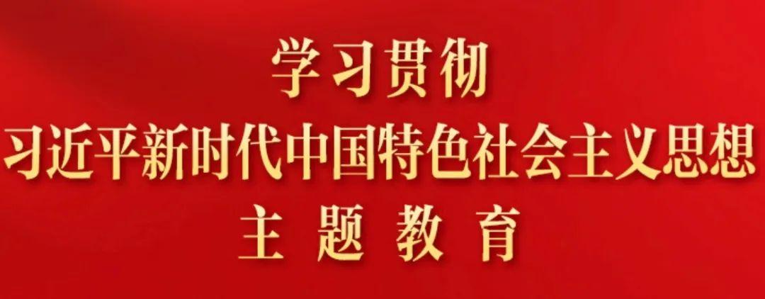 不断深化对党的理论创新的规律性认识2023年