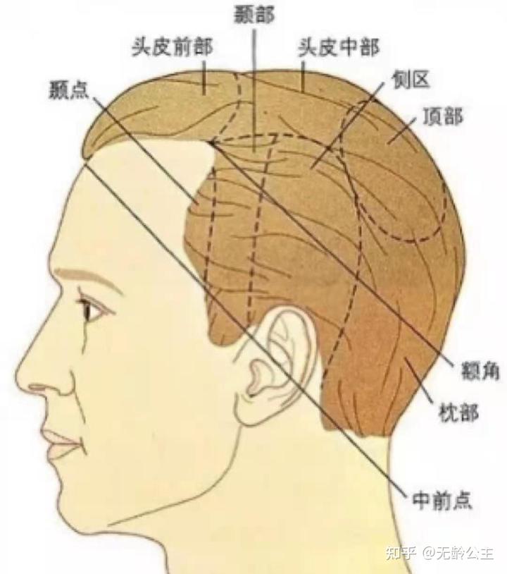 额头窄发际线低的人面相好不好_好窄额头面相际线低的女人_额头窄是发际线低吗