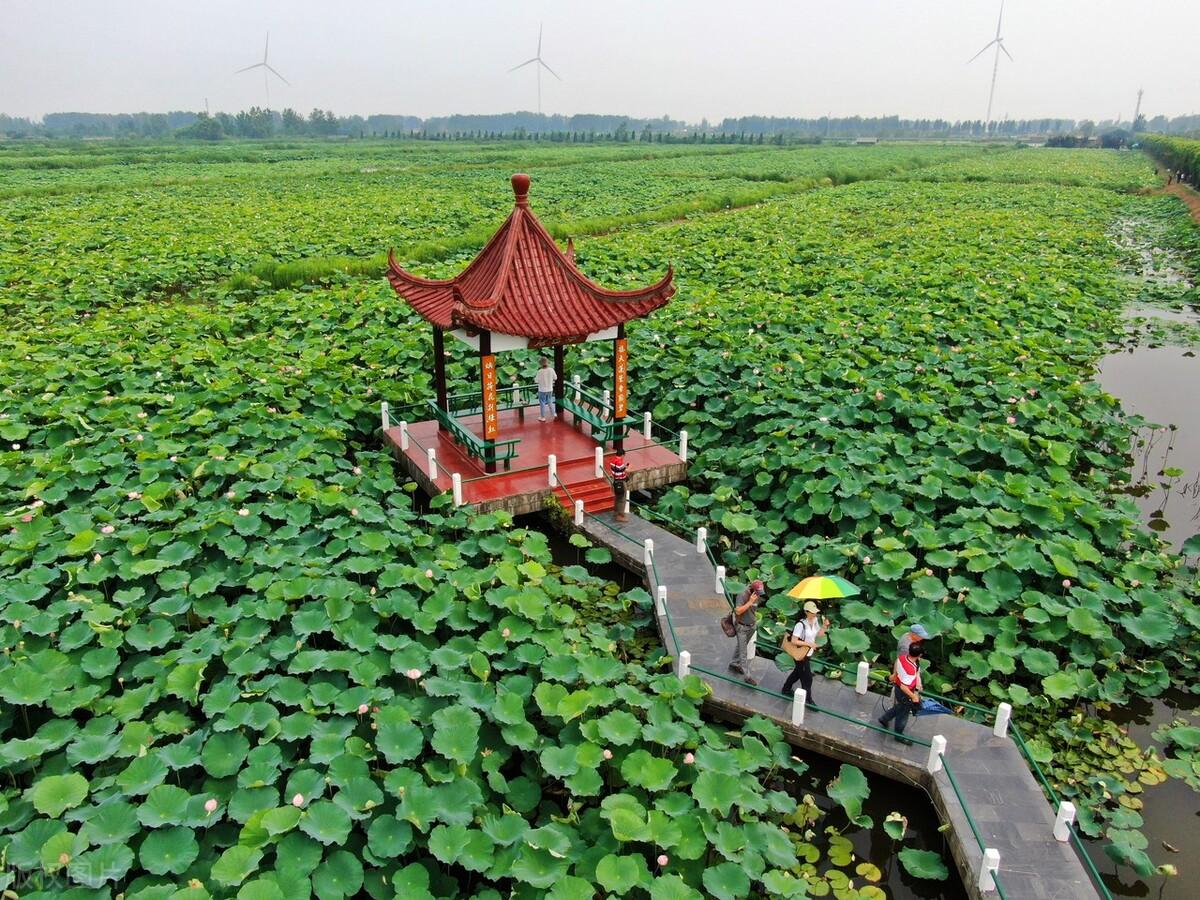 地雷复卦什么意思_卦象地雷复详解_地雷复卦解释